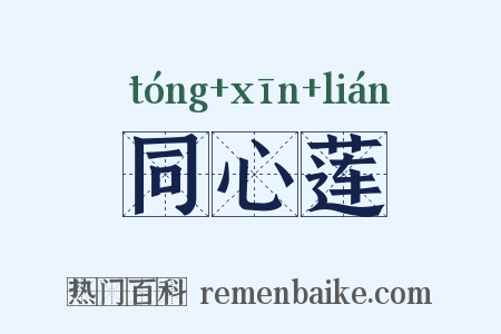 同心莲是什么意思的图片
